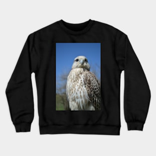 White Falcon Crewneck Sweatshirt